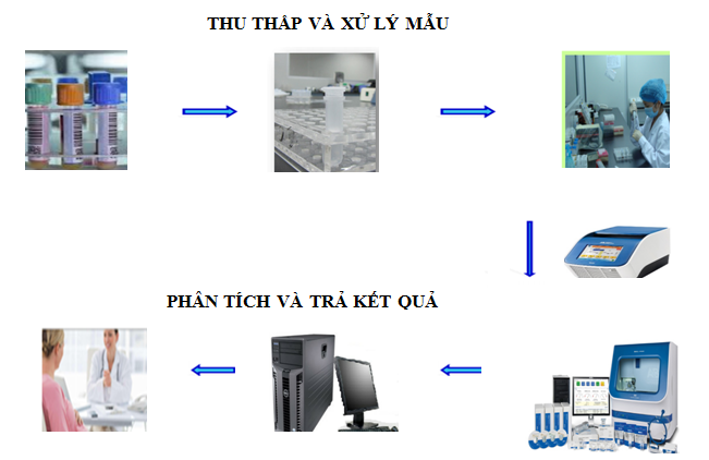 Quy trình xét nghiệm QF PCR Quy trình xét nghiệm QF PCR